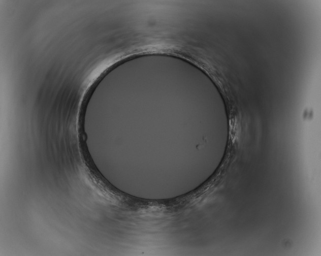 X0000111530196200908111235