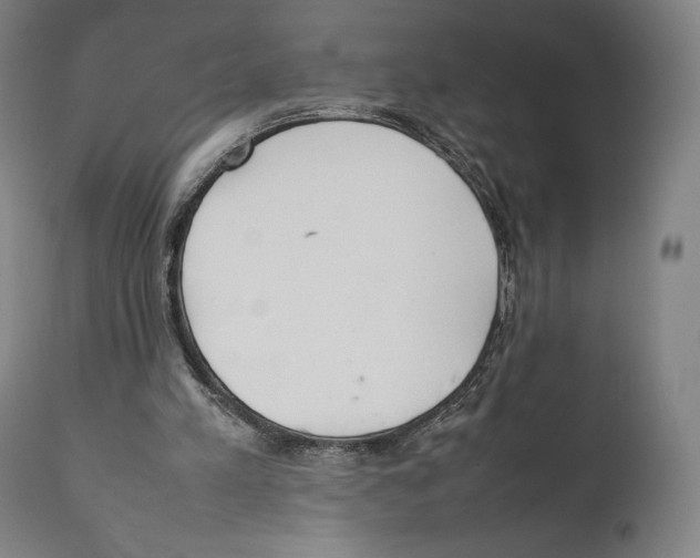 X0000111530197200908111235