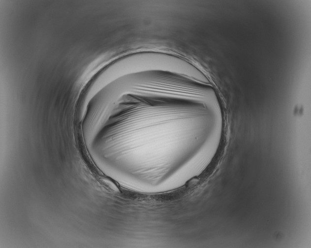 X0000111530199200908111235