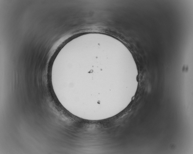 X0000111530200200908111235