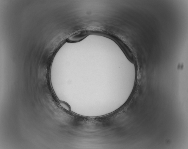 X0000111530201200908111235