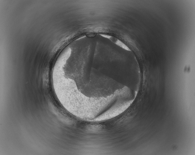 X0000111530202200908111235