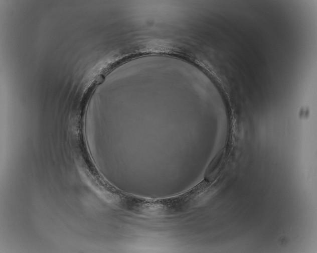 X0000111530203200908111235