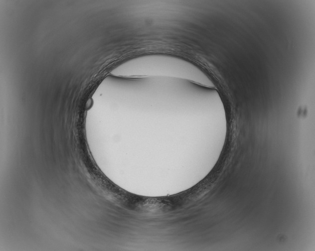 X0000111530209200908111235