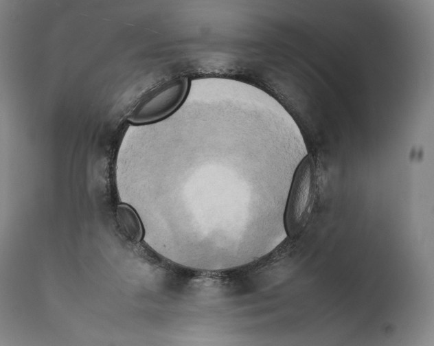 X0000111530211200908111235