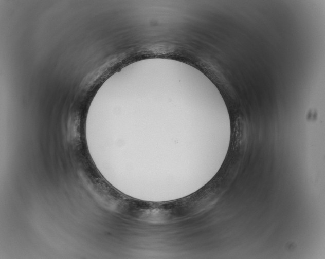 X0000111530212200908111235