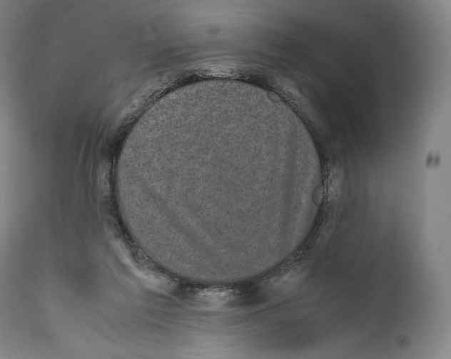 X0000111530213200908111235