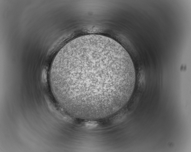 X0000111530214200908111235