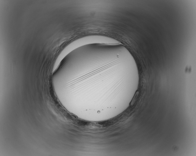 X0000111530215200908111235