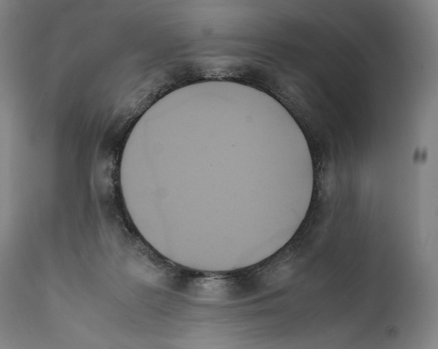 X0000111530219200908111235