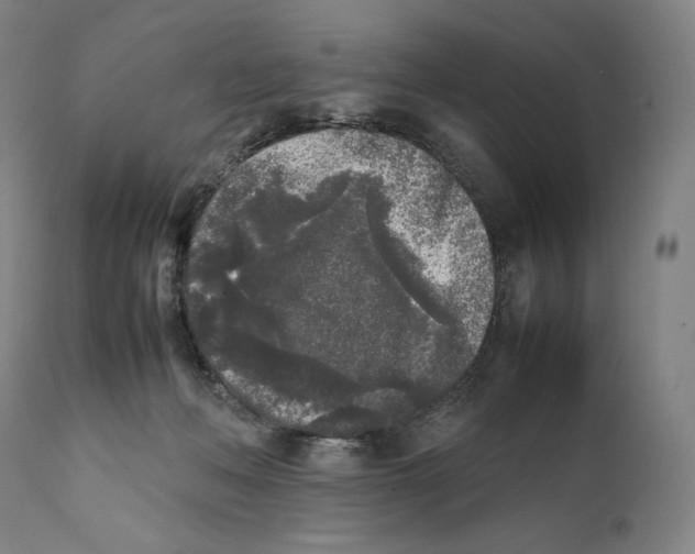 X0000111530222200908111235