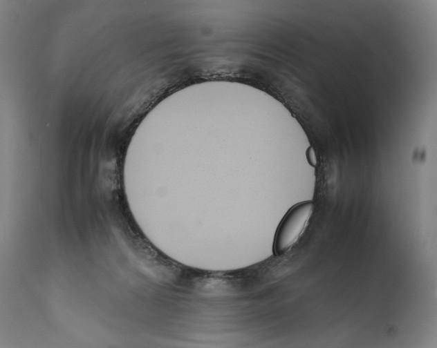 X0000111530224200908111235