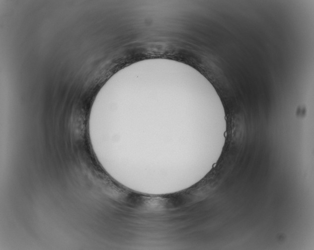 X0000111530226200908111235