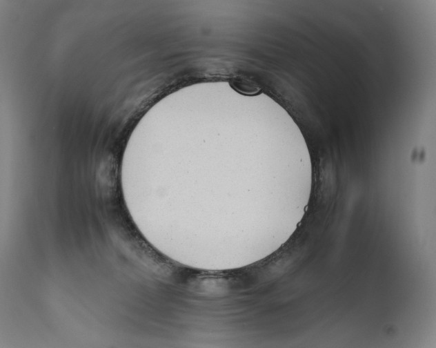 X0000111530228200908111234