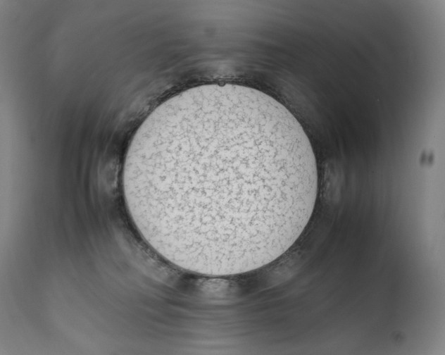 X0000111530230200908111234