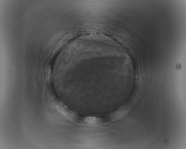 X0000111530231200908111234