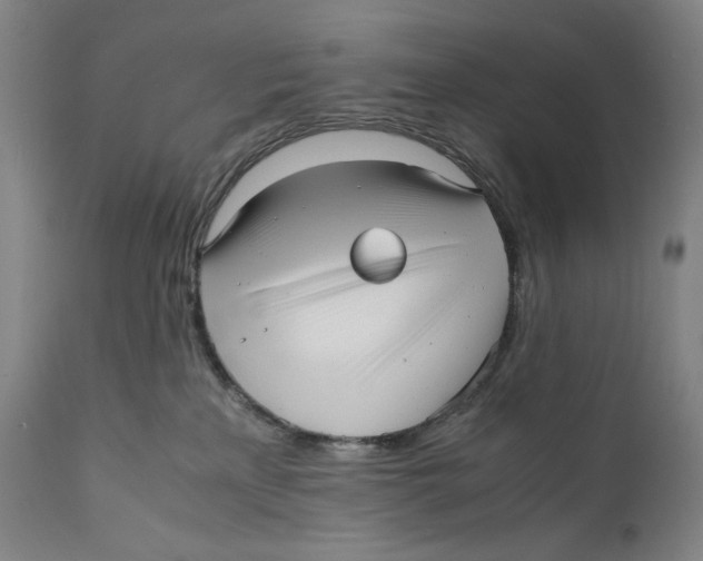 X0000111530233200908111234