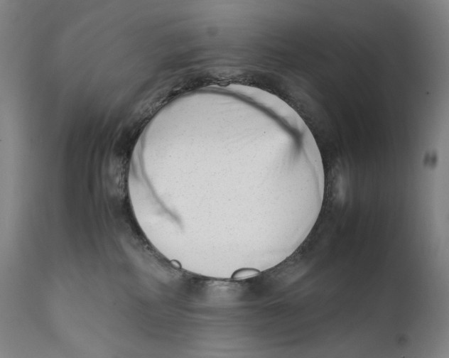 X0000111530234200908111234