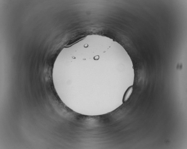 X0000111530236200908111234