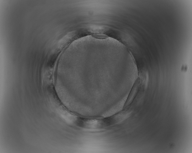 X0000111530237200908111234