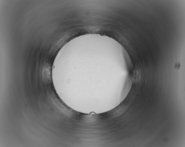 X0000111530238200908111234