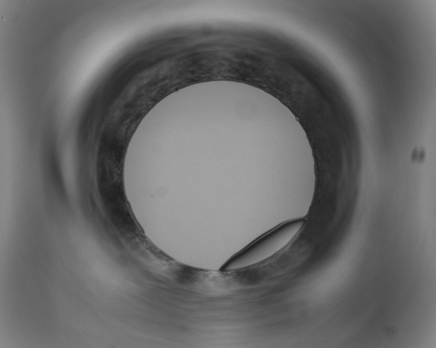 X0000111530239200908111234