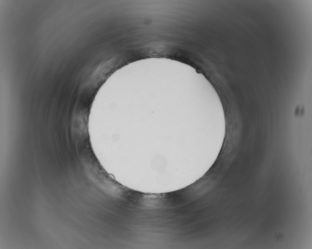 X0000111530240200908111234