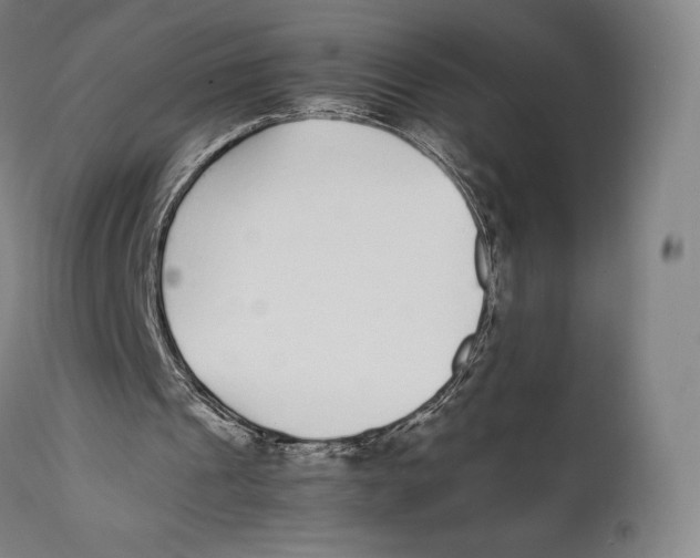 X0000111530241200908111233