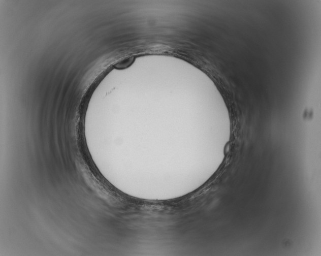 X0000111530242200908111233