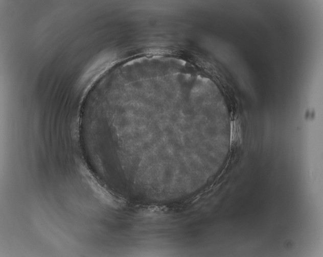 X0000111530243200908111233