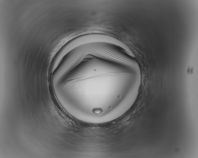 X0000111530244200908111233