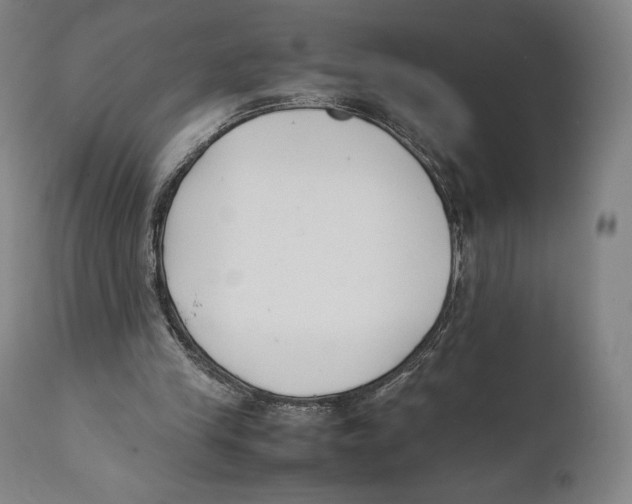 X0000111530245200908111233