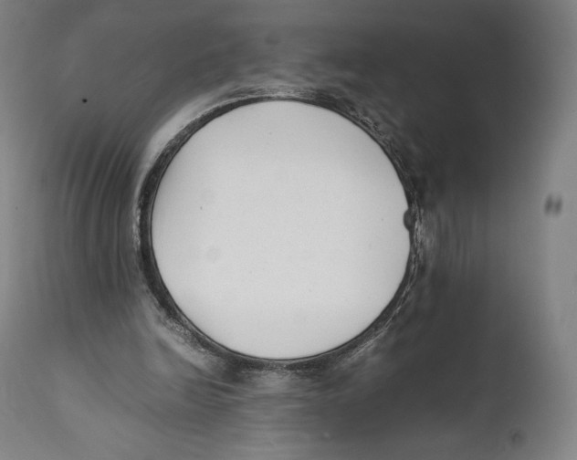 X0000111530246200908111233