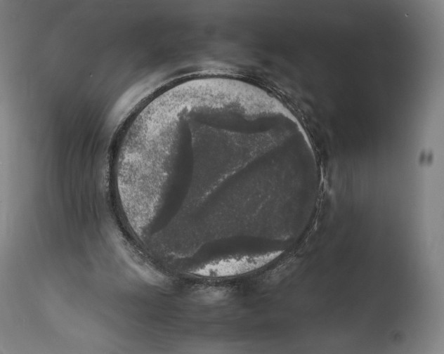 X0000111530247200908111233