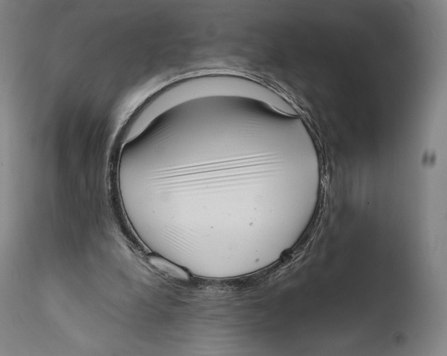 X0000111530248200908111233