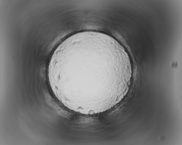 X0000111530249200908111233