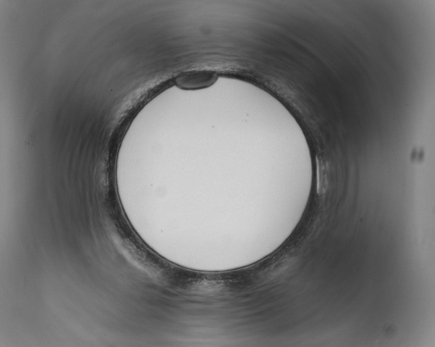 X0000111530252200908111233