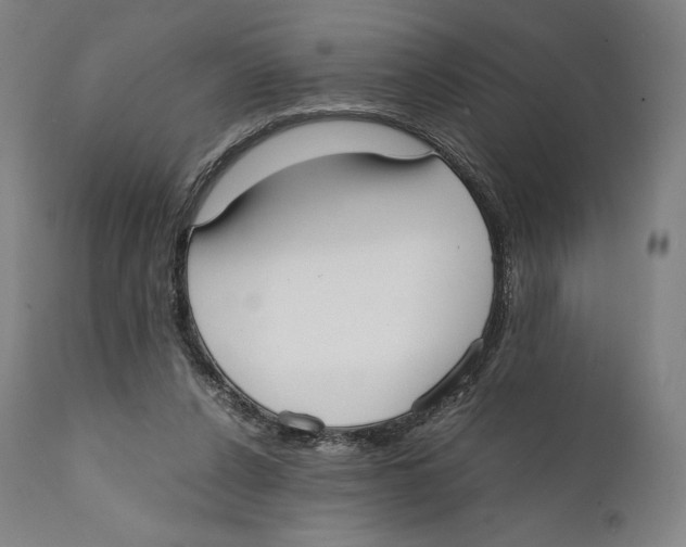 X0000111530256200908111234