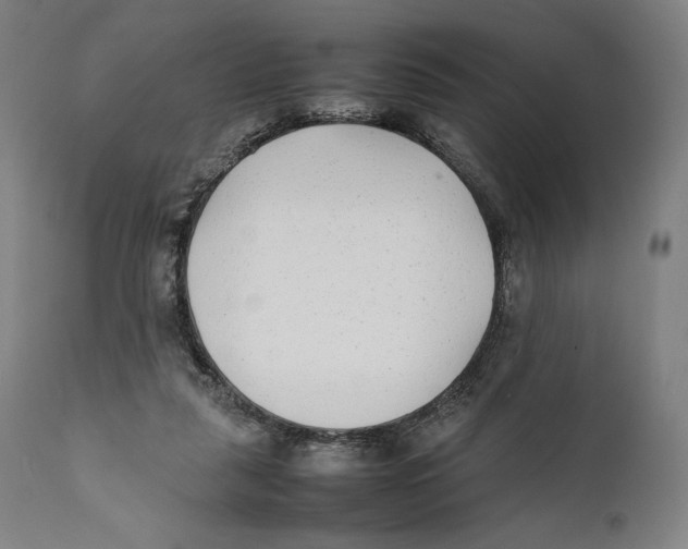 X0000111530259200908111234