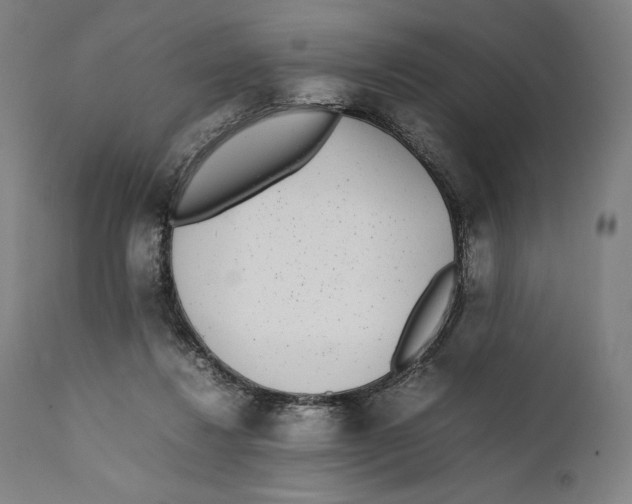 X0000111530260200908111234