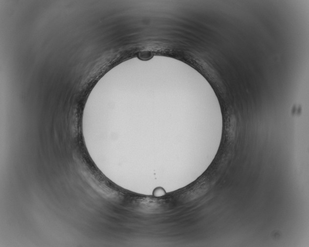 X0000111530261200908111234