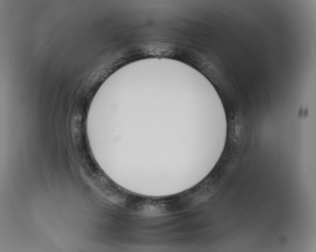 X0000111530263200908111234