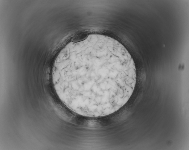 X0000111530264200908111234