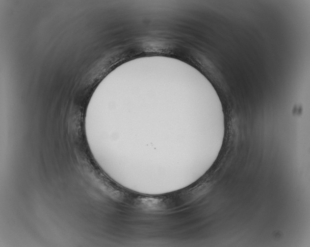 X0000111530265200908111234