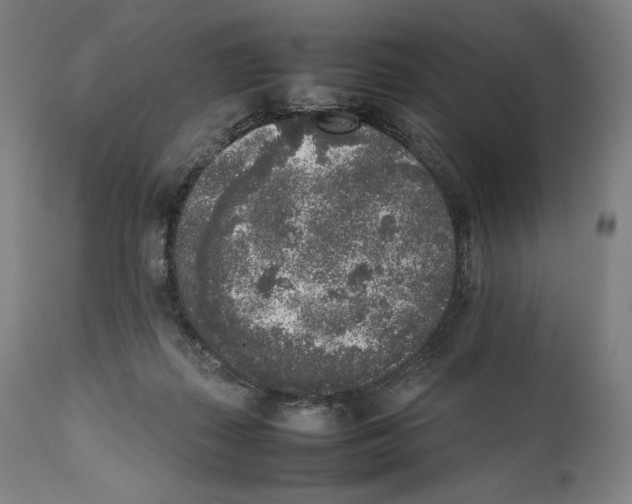 X0000111530267200908111234