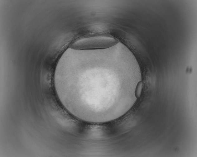 X0000111530268200908111234