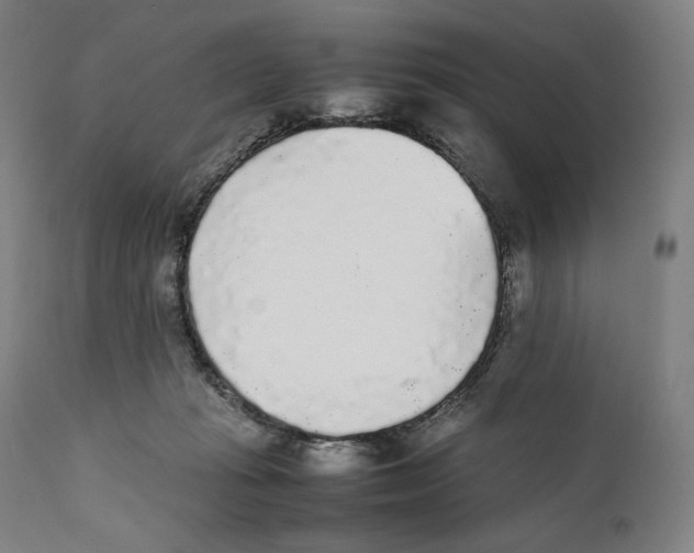 X0000111530269200908111234