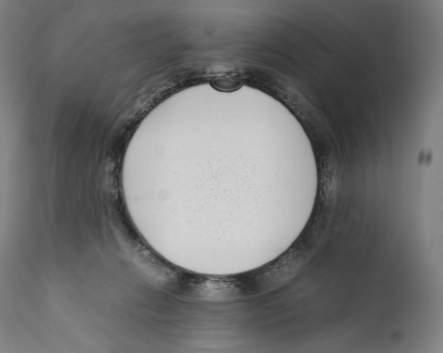 X0000111530270200908111234