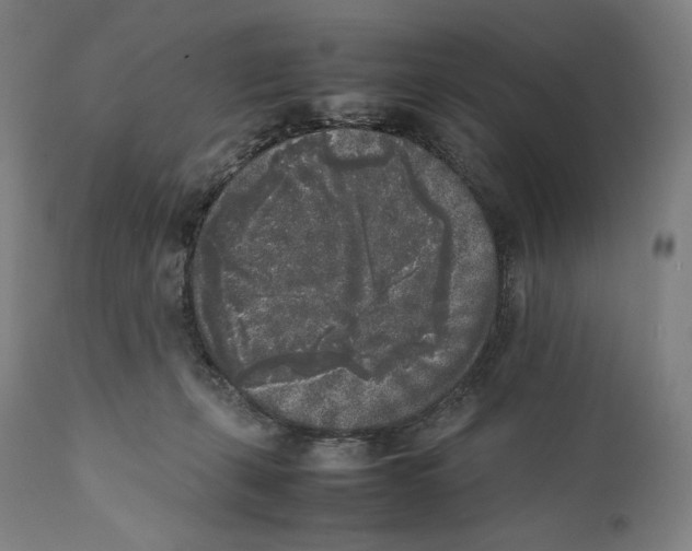 X0000111530271200908111234