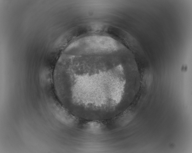 X0000111530272200908111234